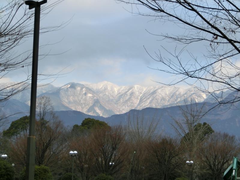 ここから観る丹沢の山々