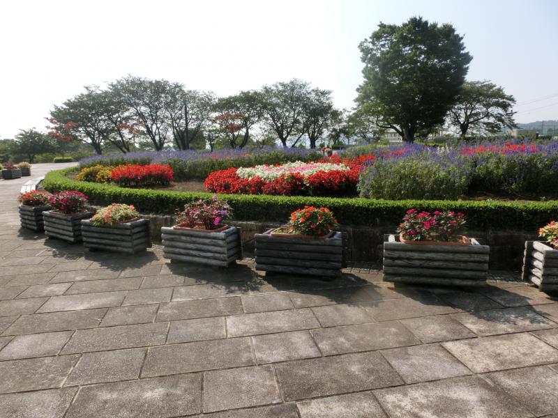 戸川公園の入口の花壇