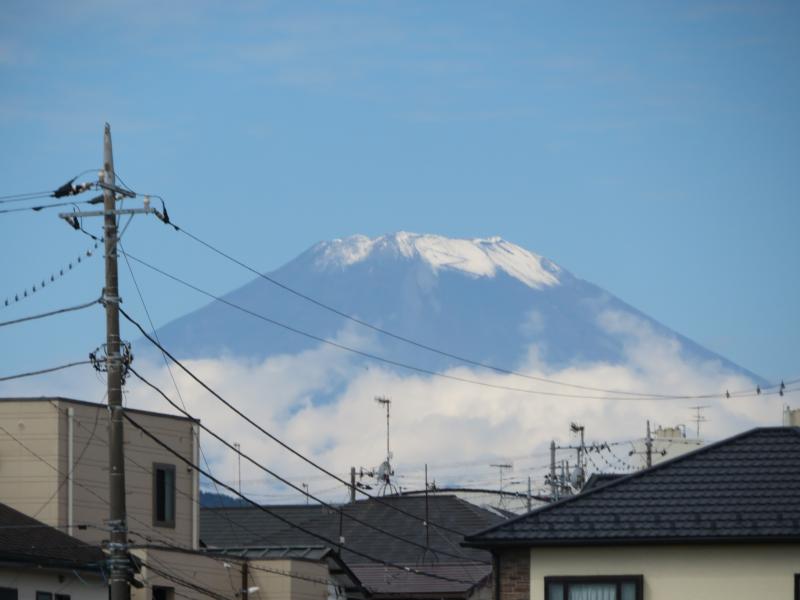 わあい富士山だ！！