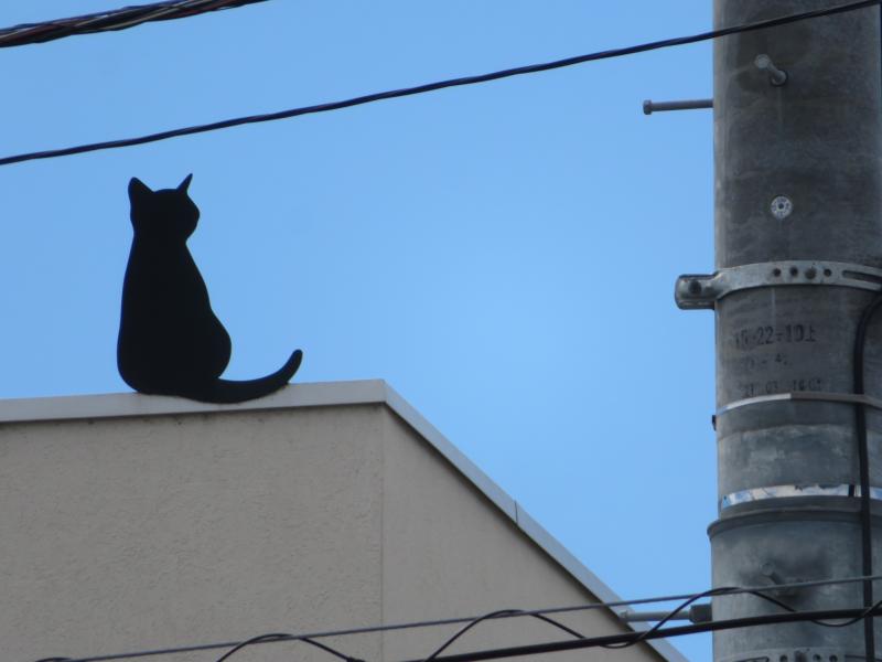 猫？動物病院の屋根です