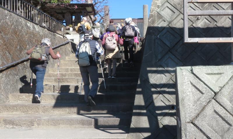 城前寺への階段