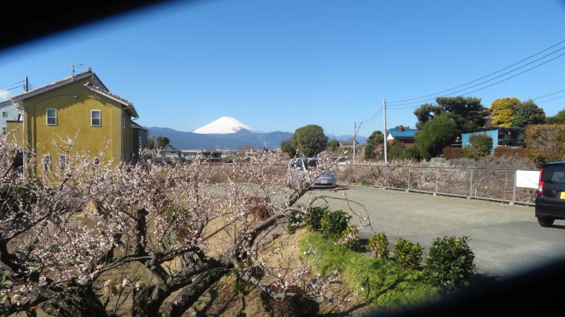 天気がよく道すがら富士山が見れる