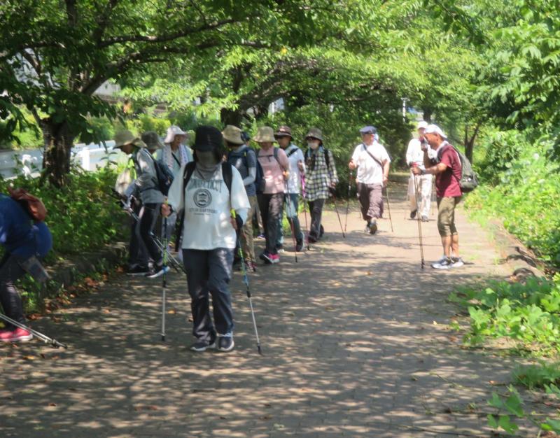 木陰があるので助かります