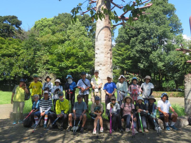 古墳公園でまだらですね