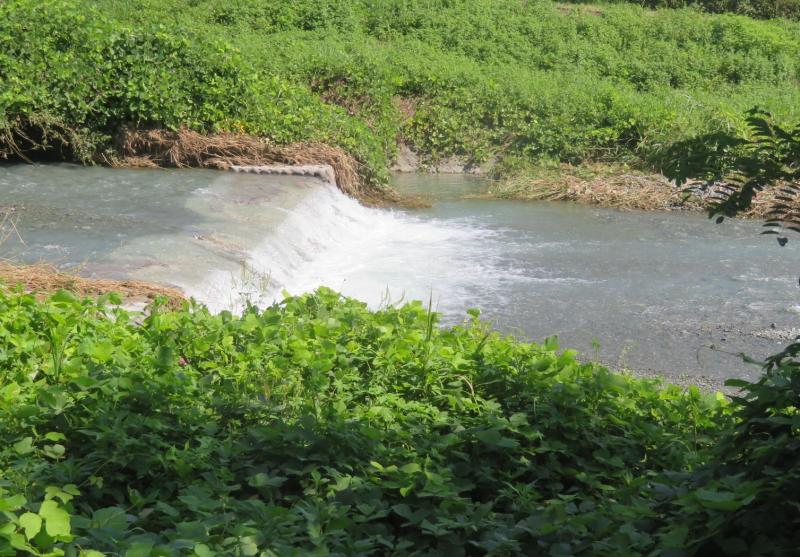 水無川も今日は水量も多い