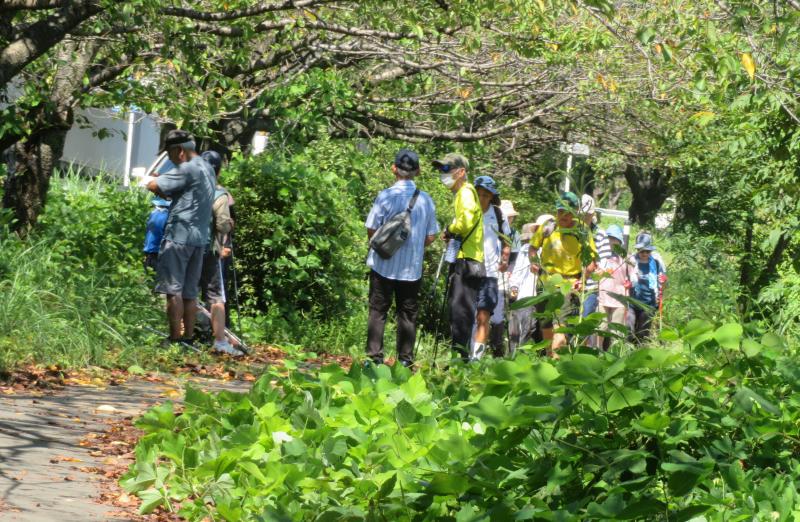 帰りも緑道で休憩