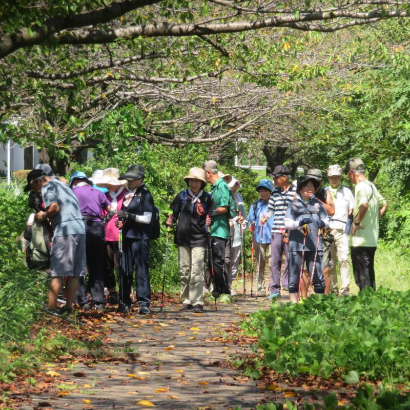 緑道の途中で休憩