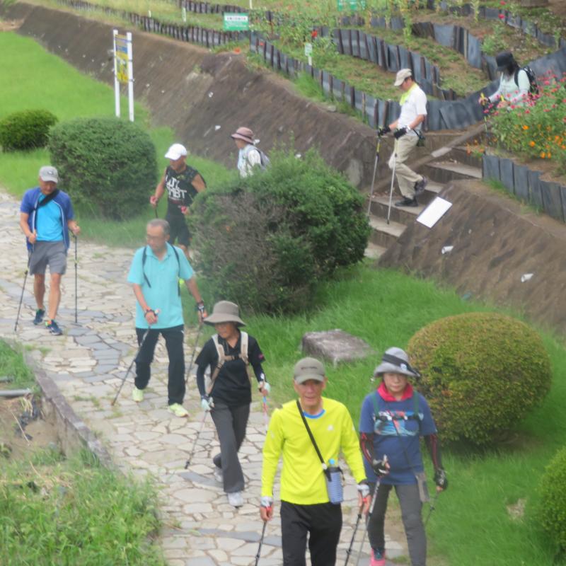 緑道に降りて市役所の向かいます