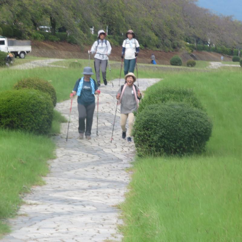 緑道も草が伸びていますね