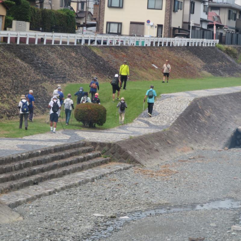 帰りは芝を刈ってある右岸です