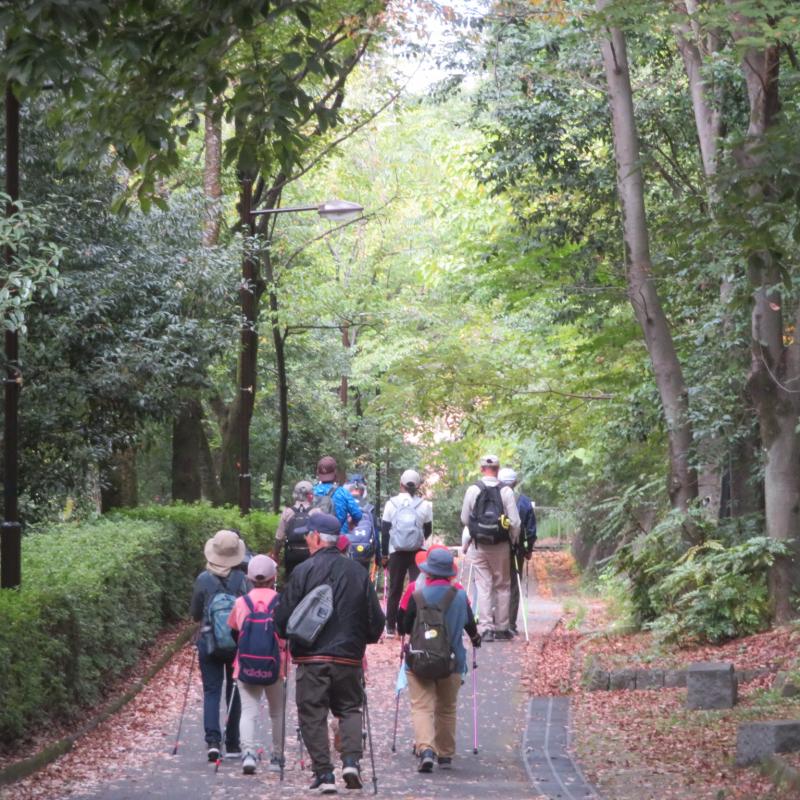 豊ヶ丘第9公園を通過