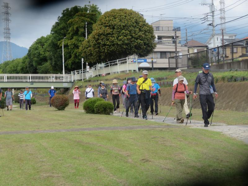 芝を刈ってある左岸を行く