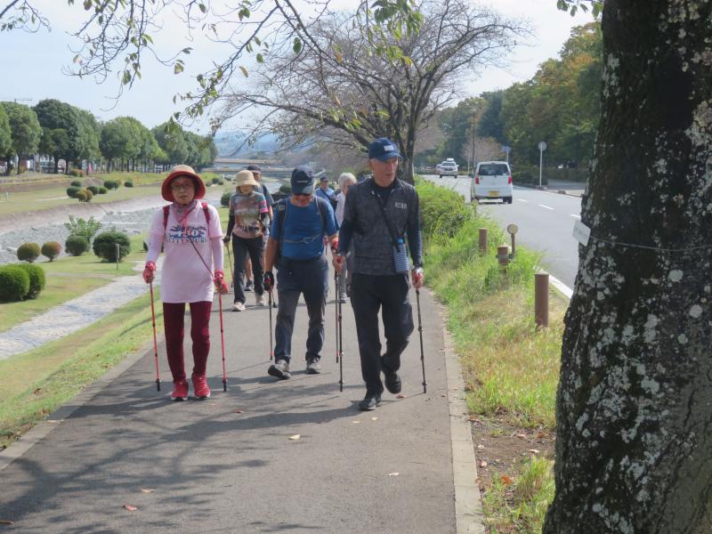 桜道もよいですね