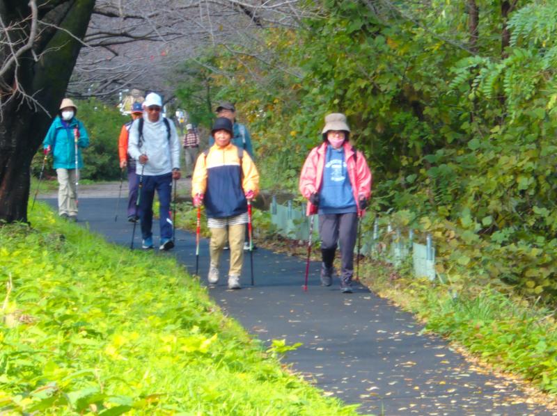 水無川緑道を歩きます