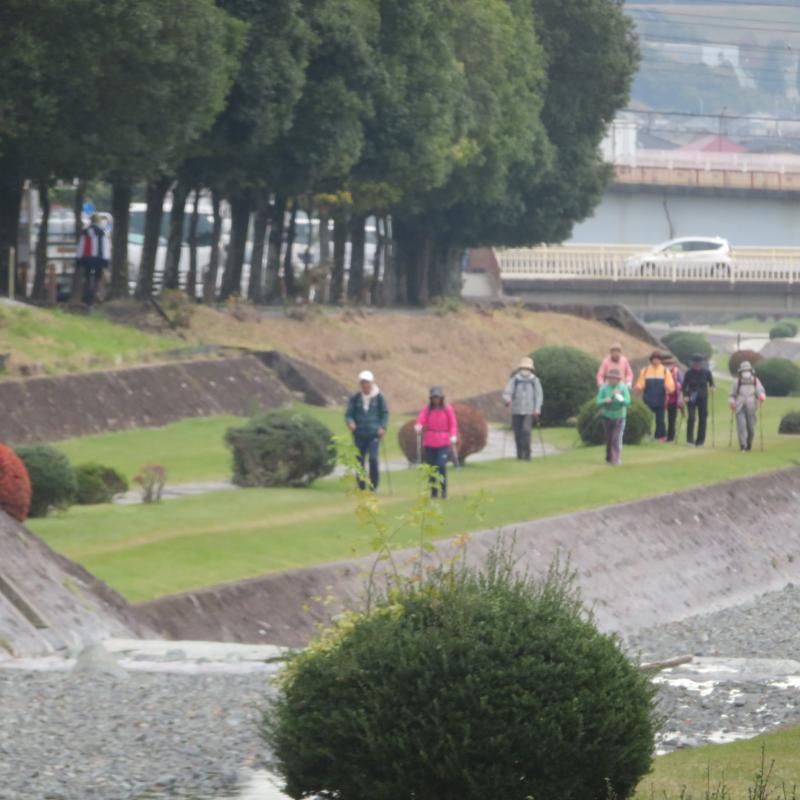 緑道での帰り道