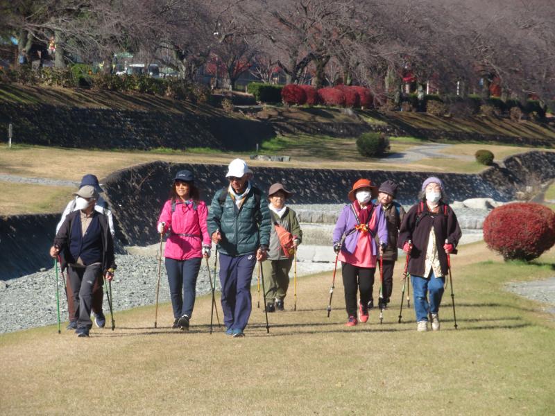 広々とした緑道は気持ち良い