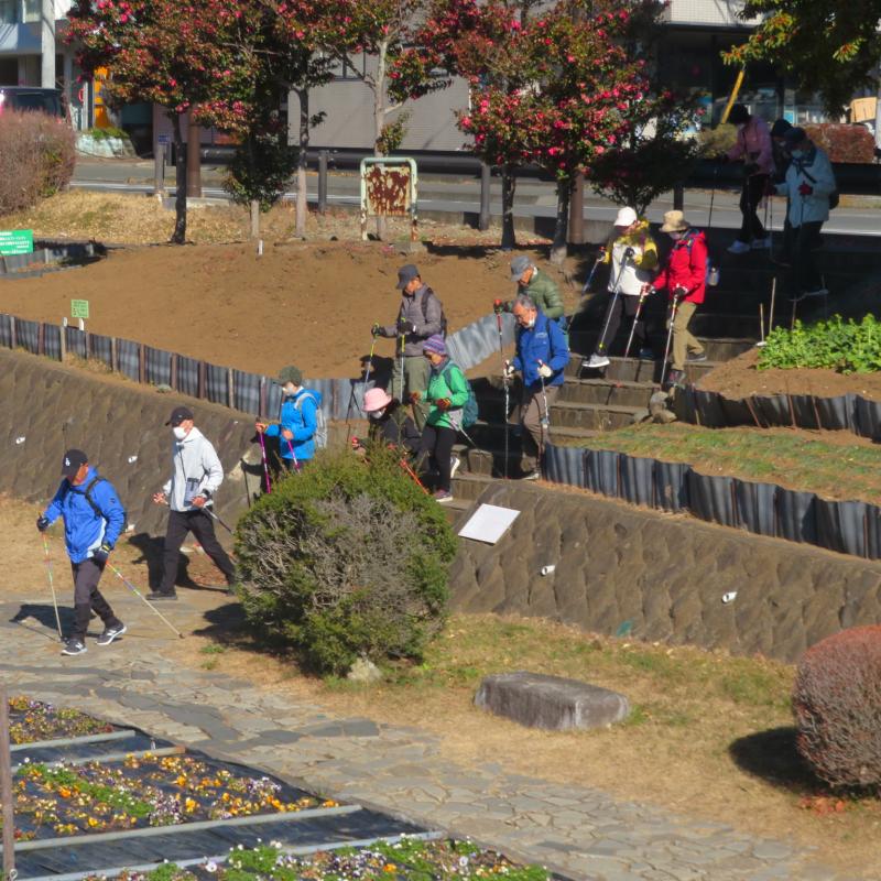 緑道に下がります