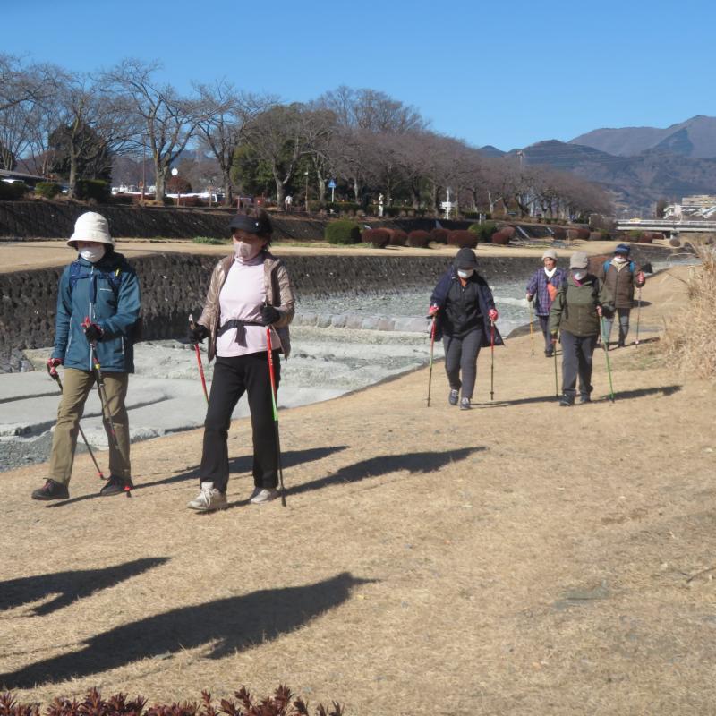 日差しを浴びながら緑道を行きます