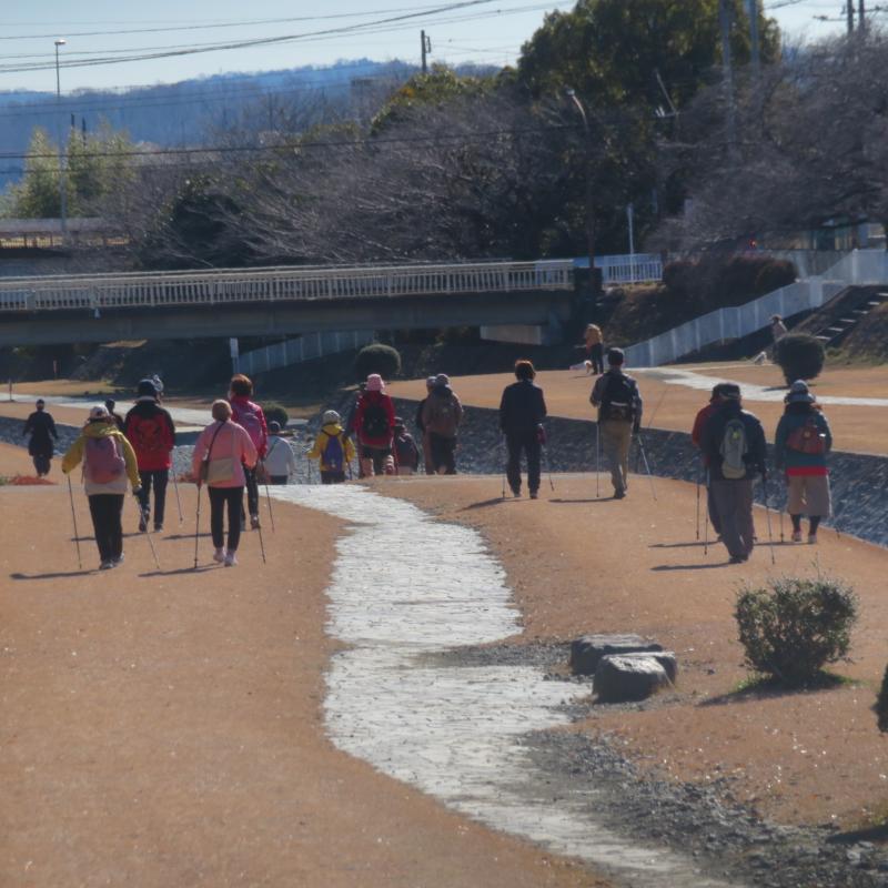 前から日差しで逆光