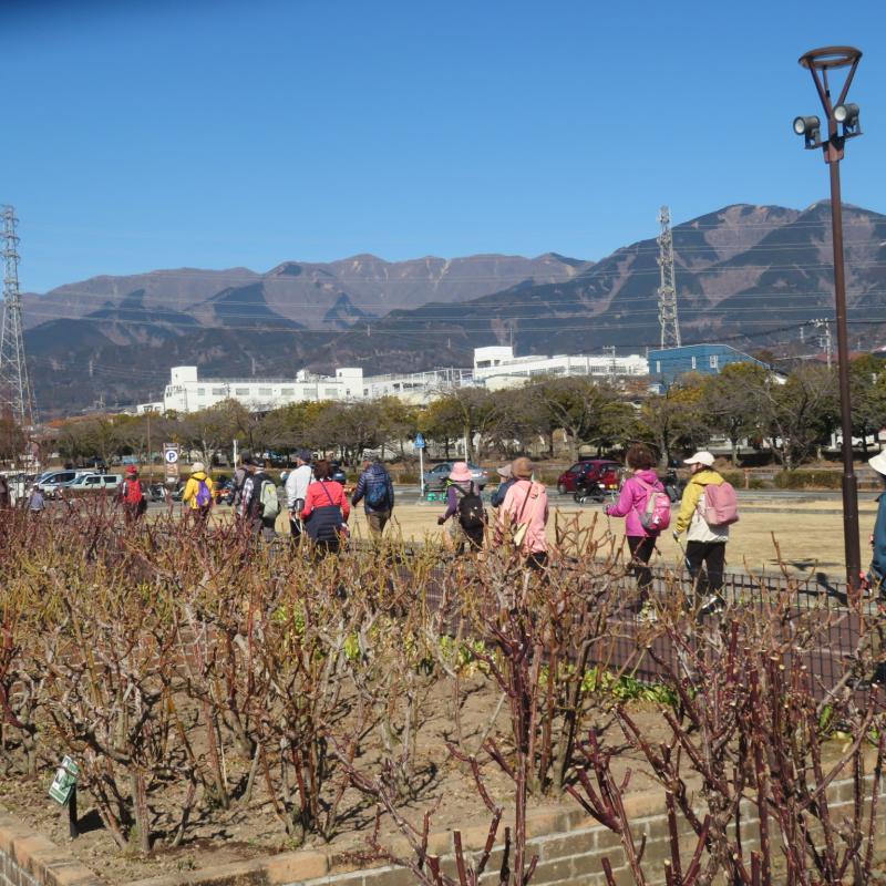 向こうに丹沢山地