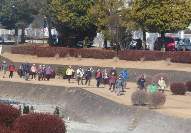 緑道の左岸行きます