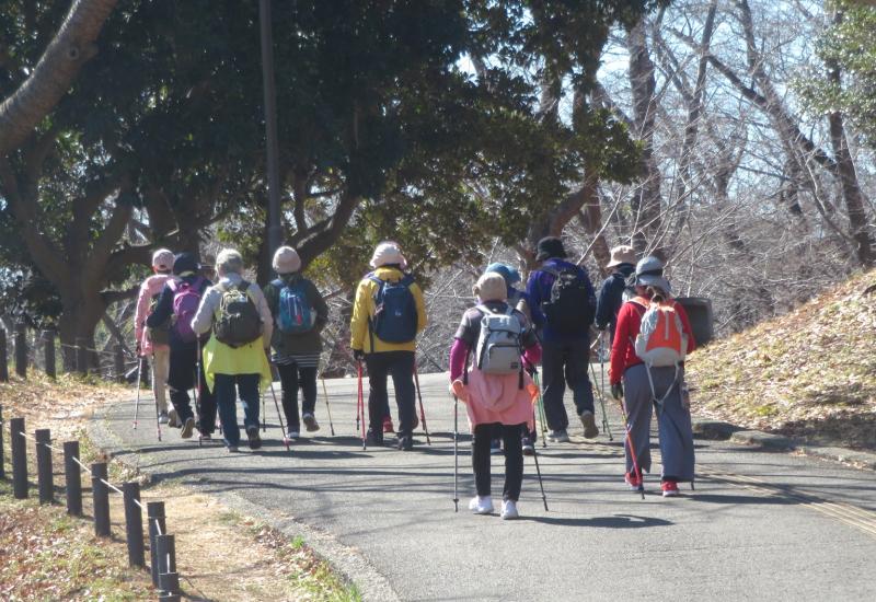 歩道も広く歩きやすい