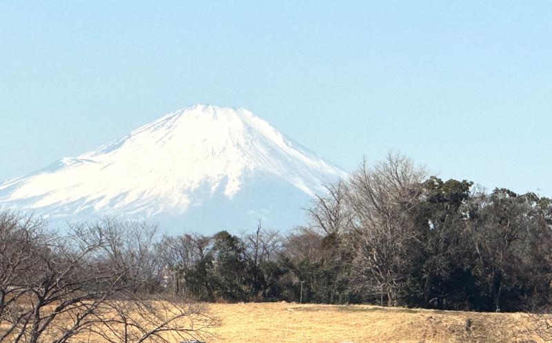 途中から富士山が見えた