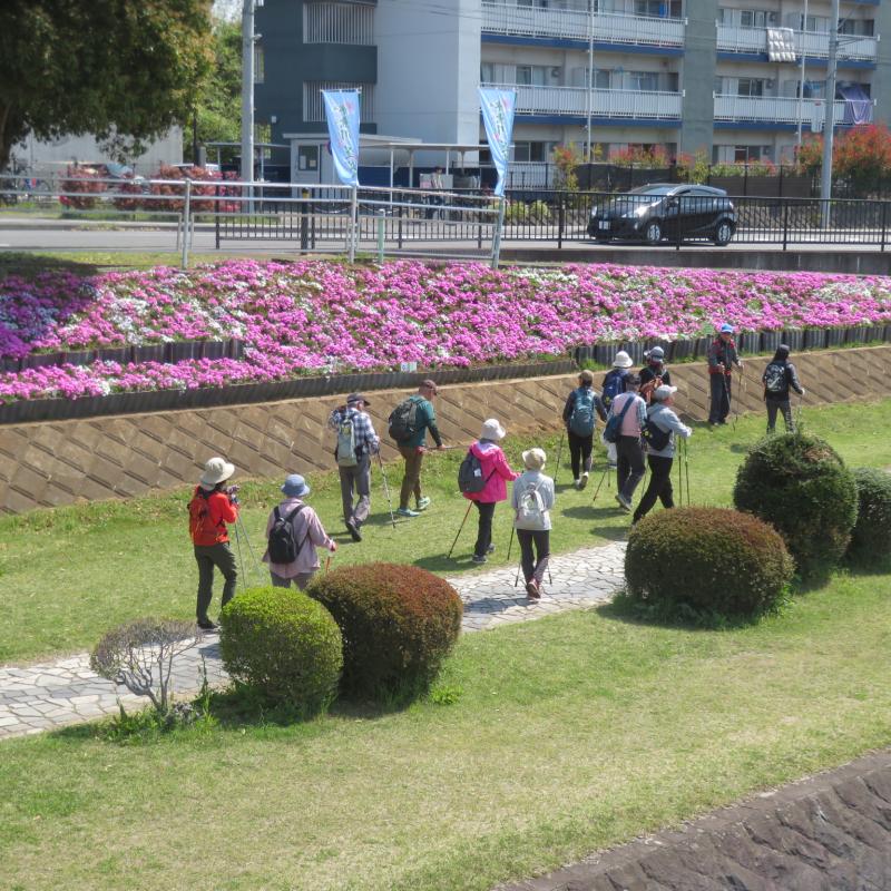 芝桜を横に見ていきます
