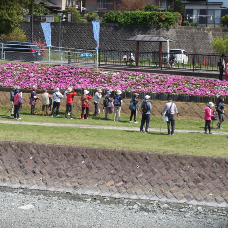 芝桜の前で休憩