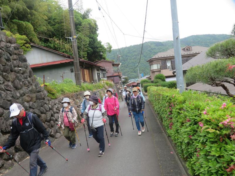 徒歩で１５分でダムです