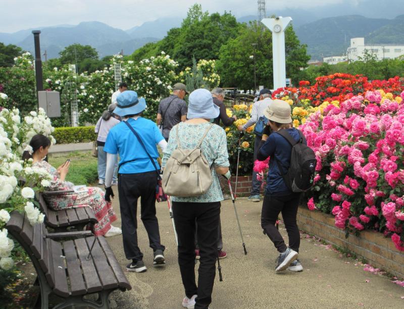 バラ園に到着