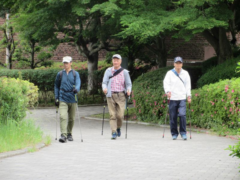 歩行姿勢が良いですね