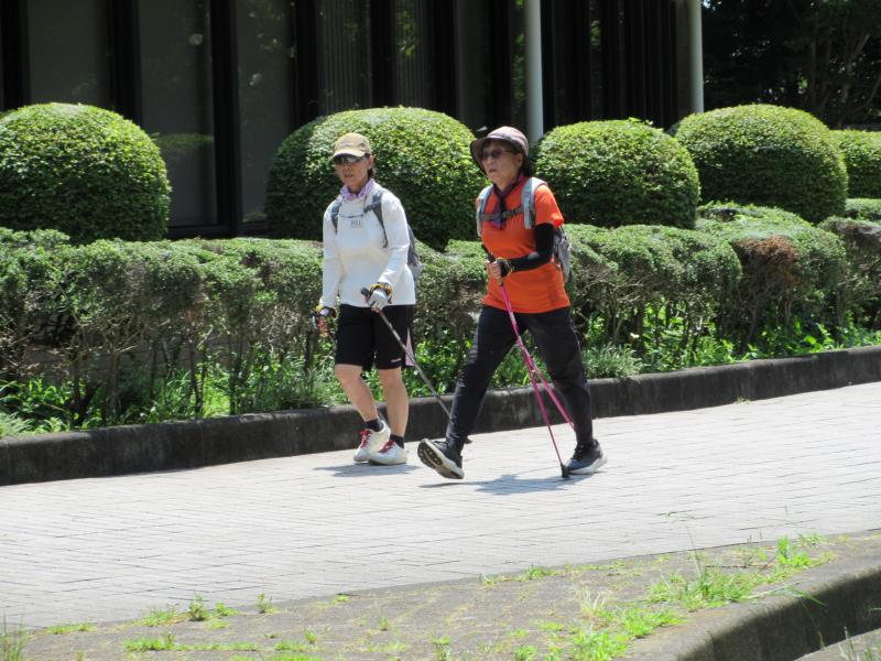 遠回りしてから到着