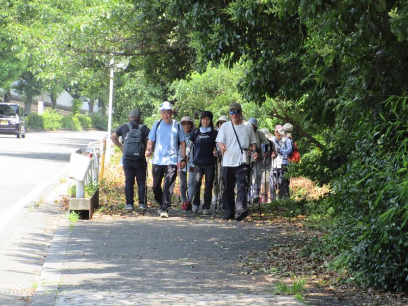 川沿いの木陰を歩きます