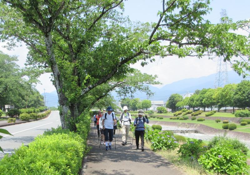水無川土手の道は木陰