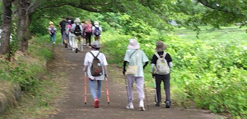 古墳公園まで歩きやすい