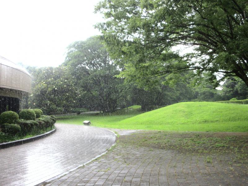 スコールのような雨です