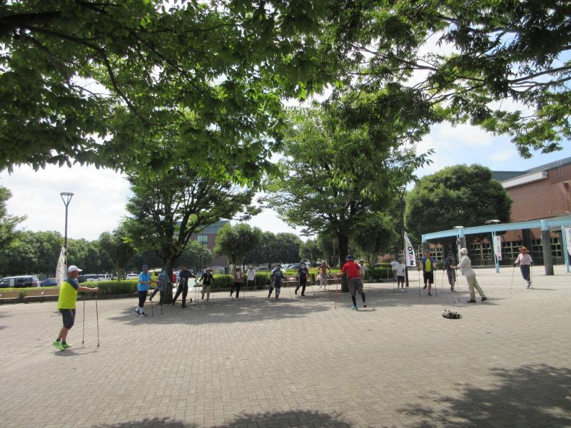 木陰で準備運動してから