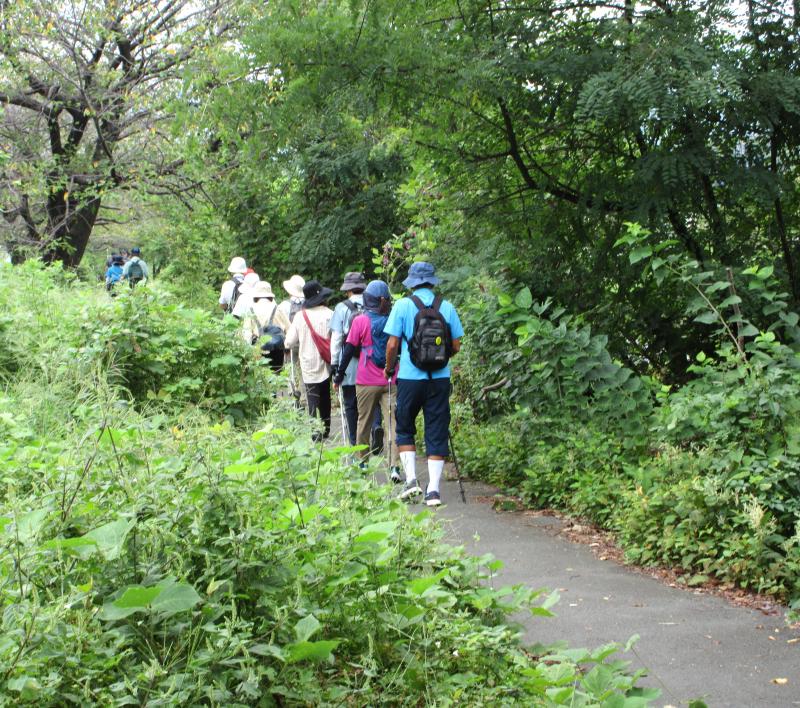 水無川緑道を歩きます
