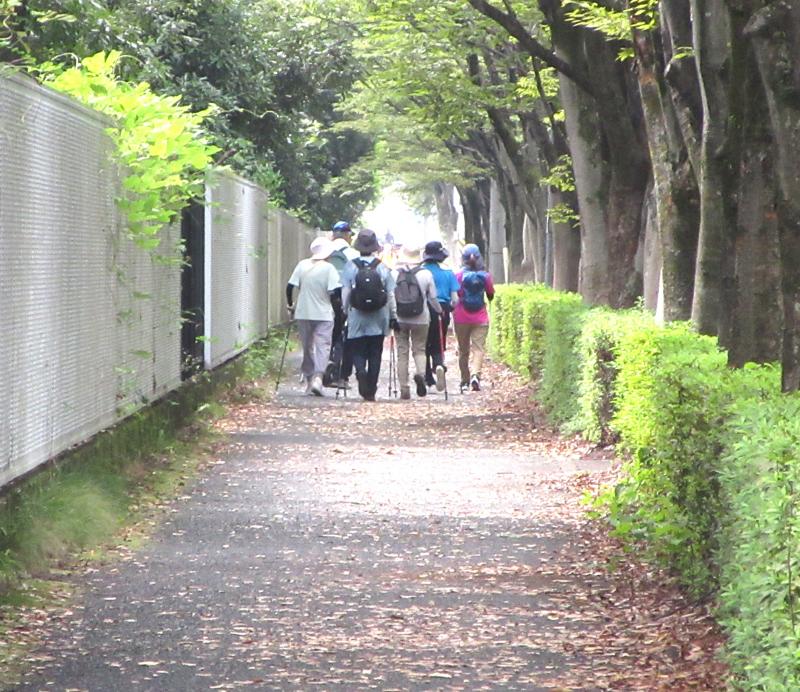 もう少し歩きます