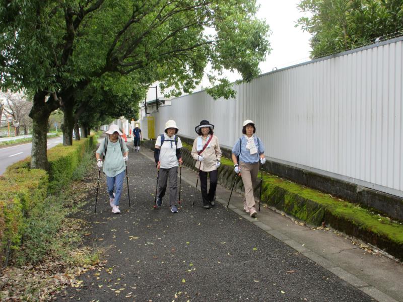 木陰の歩道を行きます
