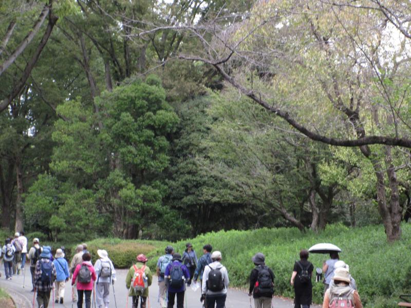 園内は道が広々して歩きやすい