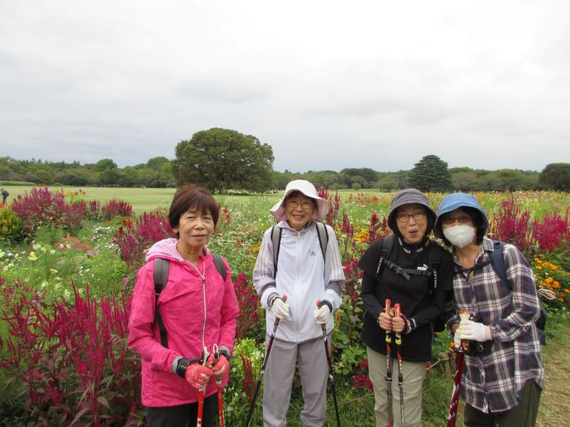 花の4人組？