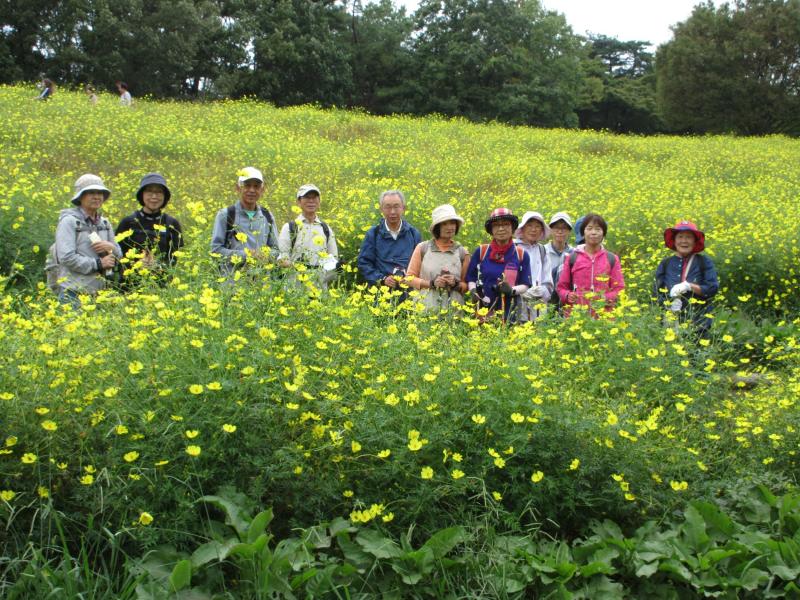 花畑に埋もれてます