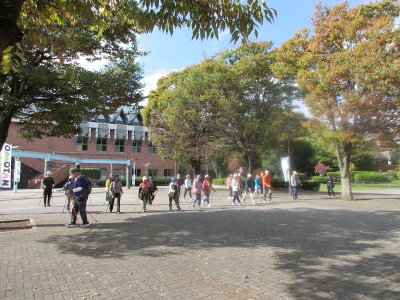 いつものNW歩行です