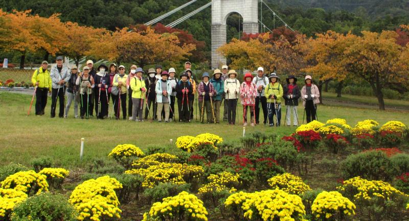 ざる菊は黄色で赤はこれからです
