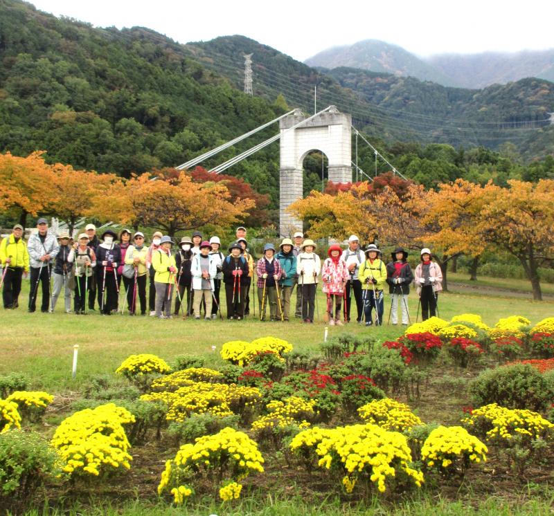 風のつり橋の全景