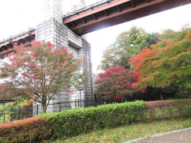 ぼちぼち紅葉ですね