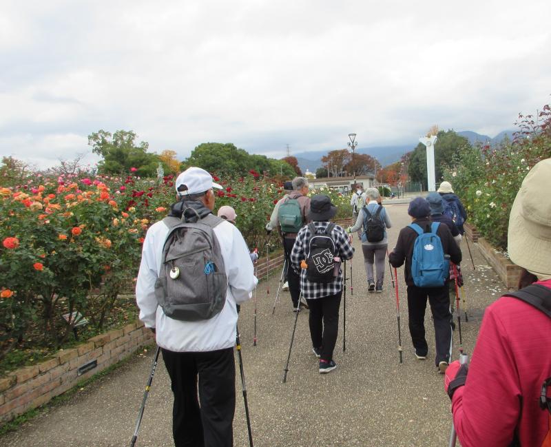 バラの香りはしています