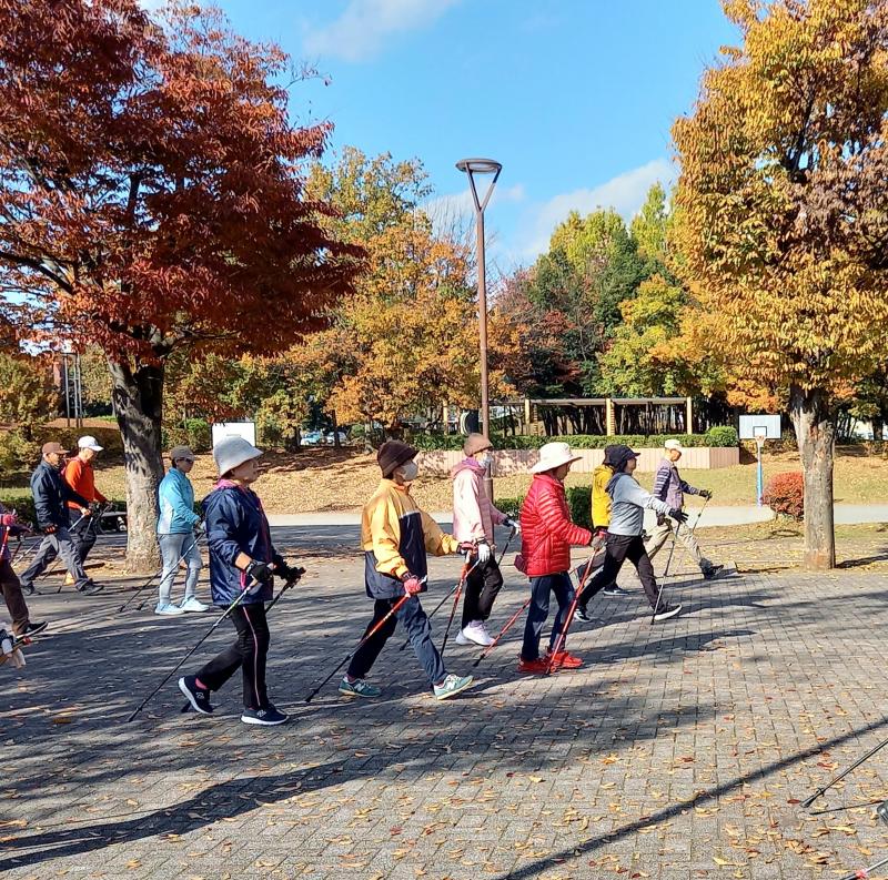 ポールを押して歩幅を広く